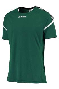 Hummel Authentic Charge Poly Trikot green