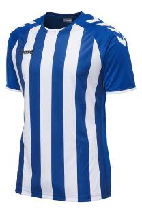 Hummel Core Streifen Trikot