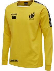 HMLAUTHENTIC TRAINING SWEAT BTV