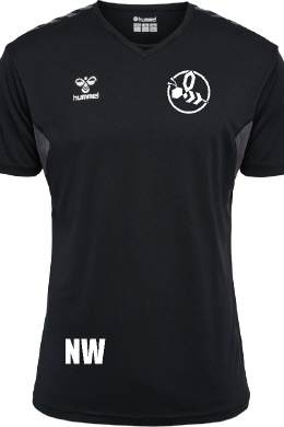 HMLAUTHENTIC PL JERSEY S/S Regio Hummeln