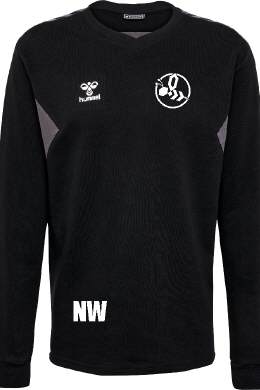 HMLAUTHENTIC CO TRAINING SWEAT Regio Hummeln