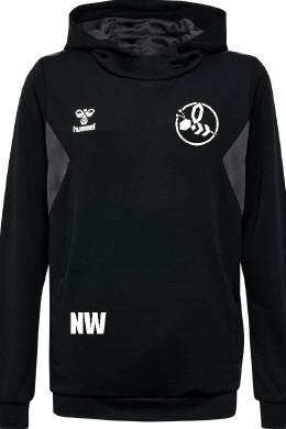 HMLAUTHENTIC PL HOODIE Regio Hummeln