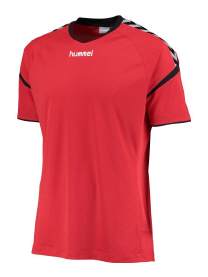 Hummel Authentic Charge Poly Trikot langarm